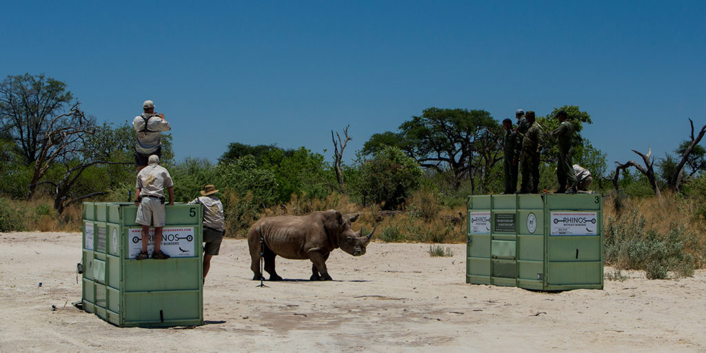 2019 great plains foundation rhinos without borders 11