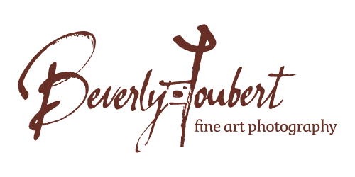 Great Plains Foundation Annual Report 2025 Beverly Joubert